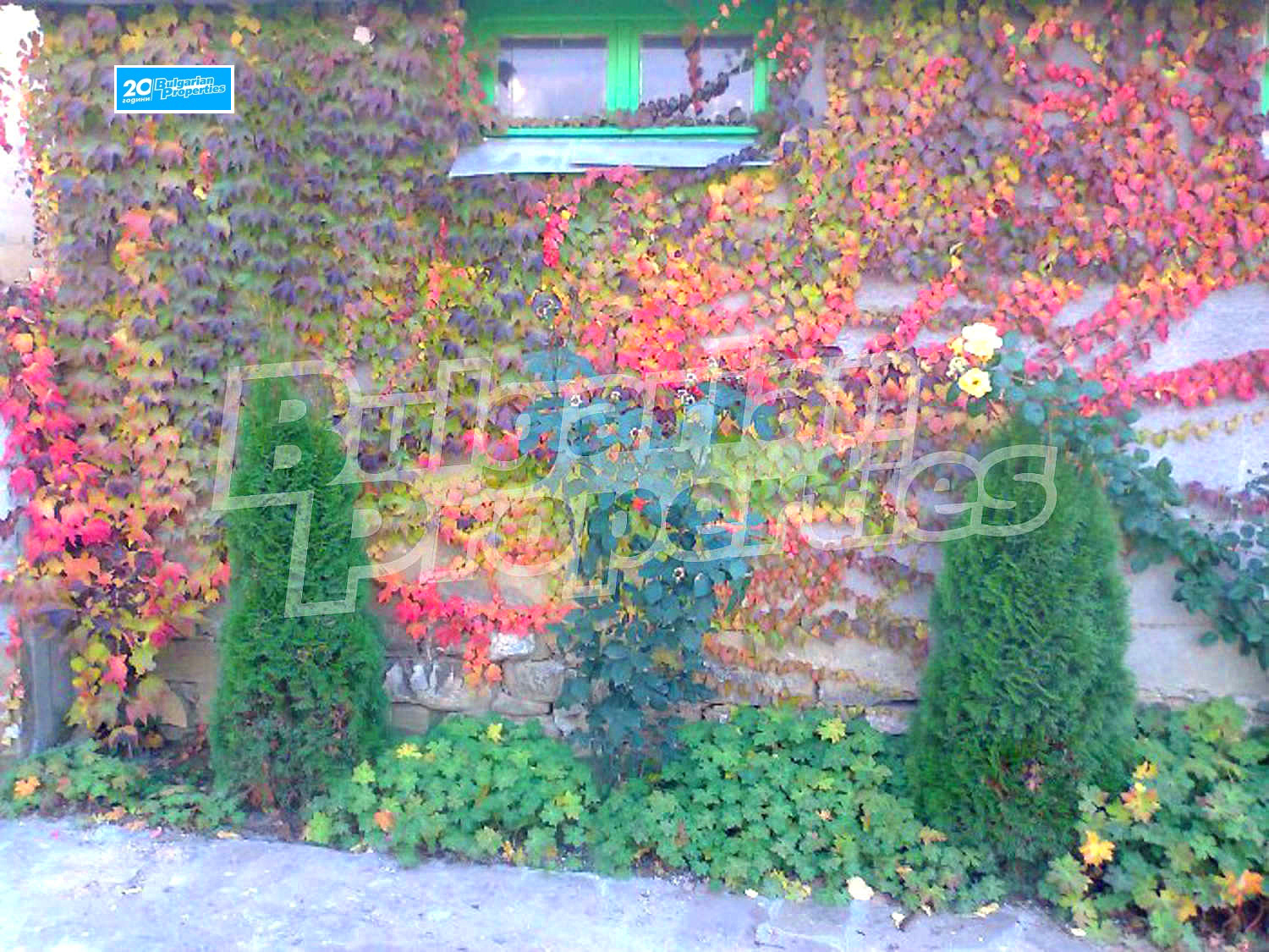 Продава ХОТЕЛ, с. Чифлик, област Ловеч, снимка 6 - Хотели - 44936761