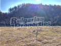 Продава ЗЕМЕДЕЛСКА ЗЕМЯ, гр. Рила, област Кюстендил, снимка 12