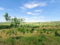Продава ЗЕМЕДЕЛСКА ЗЕМЯ, гр. Рила, област Кюстендил, снимка 5