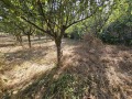 Продава КЪЩА, област Търговище, с. Садина • 40000 € • 73257904 4