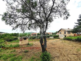 Hus Sladak kladenets, region Stara Zagora 7