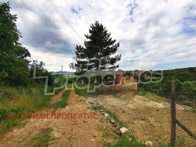 Hus Sladak kladenets, region Stara Zagora 6