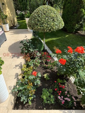 ������� ���� | Imot.bg � ����� ������ 7