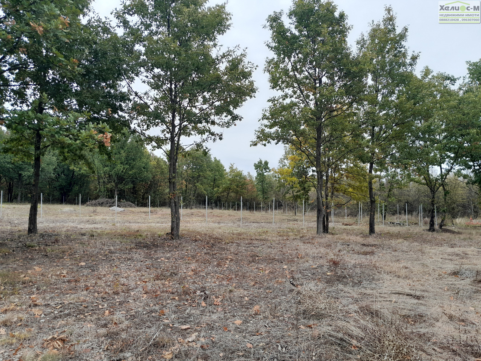 ������� ������ | Imot.bg � ����������� 13