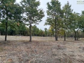 ������� ������ | Imot.bg � ����� ������ 13