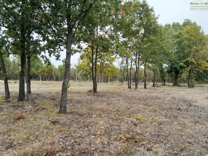 Продава ПАРЦЕЛ, гр. Монтана, в.з. Запад, снимка 10 - Парцели - 53460692