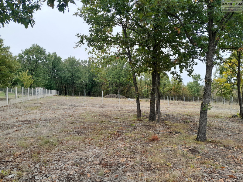 Продава ПАРЦЕЛ, гр. Монтана, в.з. Запад, снимка 8 - Парцели - 53460692