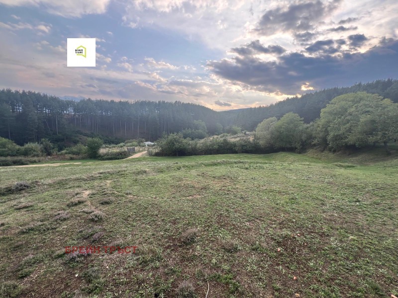 Продава ПАРЦЕЛ в област Благоевград, с. Бачево - 2726 кв.м / 69 500 € » 135 930.19 лв., БРЕЙН ТРЪСТ