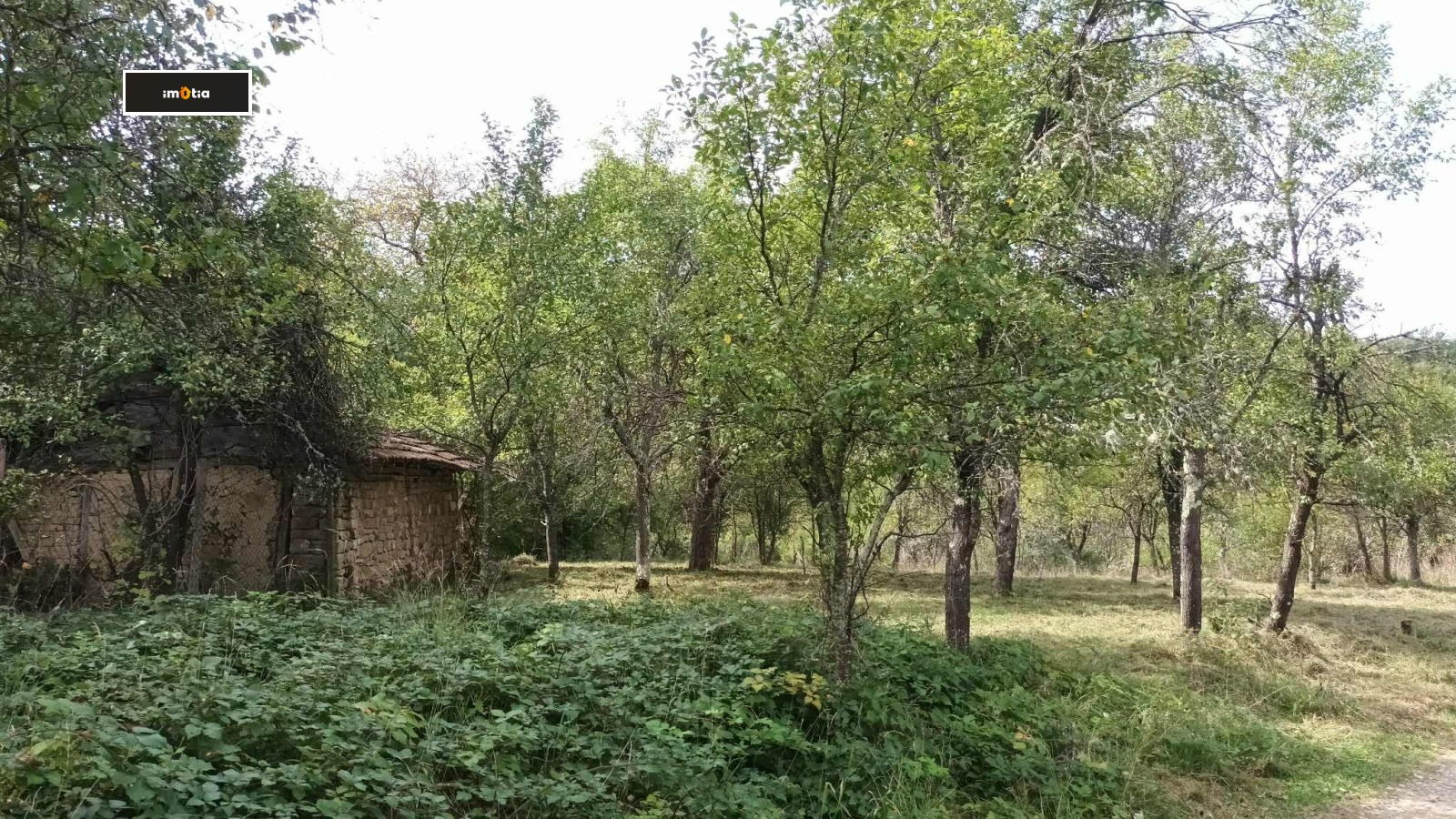 ������� ���� | Imot.bg � ����������� 9