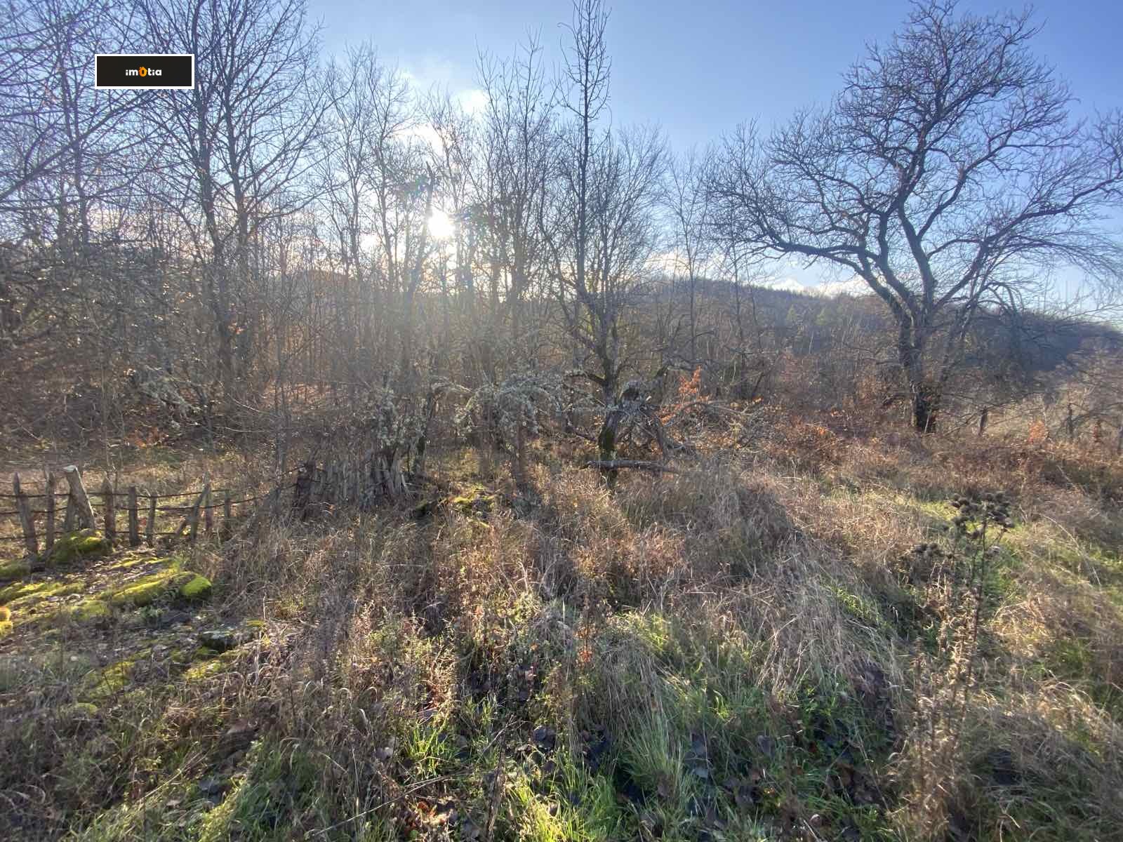 ������� ���� | Imot.bg � ����������� 11