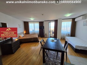 Studio Bansko, region Blagoewgrad 1