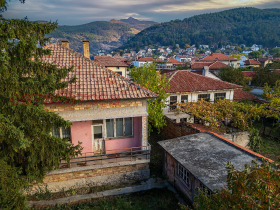 ������ ������� ����