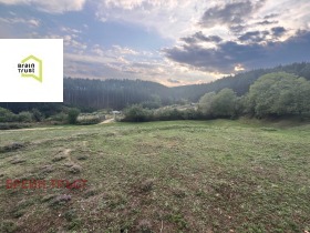 Plot Bachevo, region Blagoevgrad 1