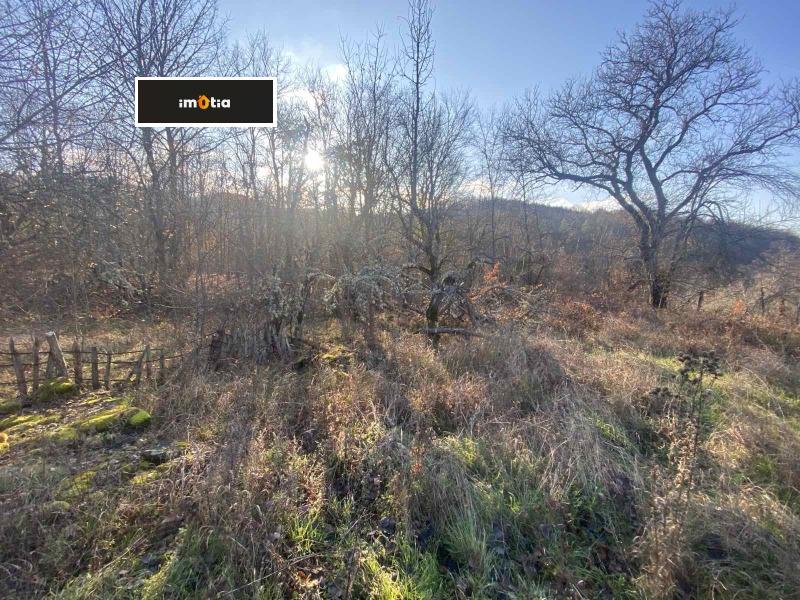 Продава КЪЩА, с. Велчево, област Ловеч, снимка 10 - Къщи - 53016257