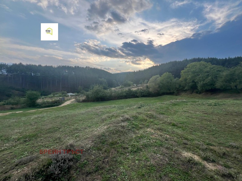 Na prodej  Spiknutí oblast Blagoevgrad , Bačevo , 2726 m2 | 59739297 - obraz [2]