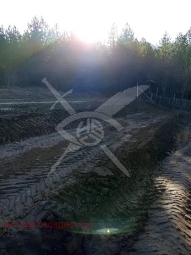 ������� ������ | Imot.bg � ����� ������ 2