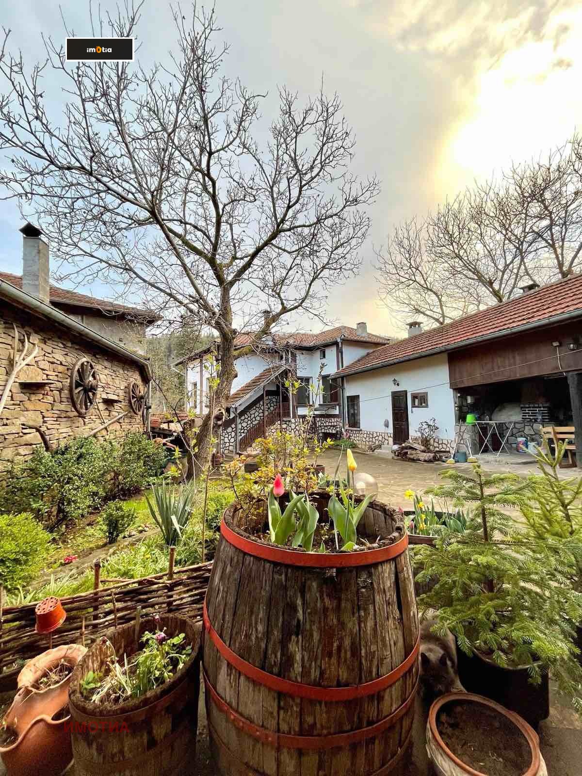 ������� ���� | Imot.bg � ����������� 17