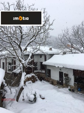 ����� ������� ����,��. �����, ������ �����