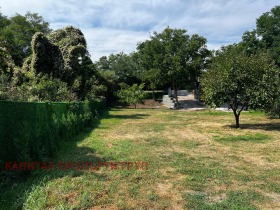 ����� ������� ������,�. ����� ������, ������ ������