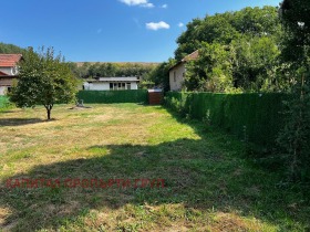 ����� ������� ������,�. ����� ������, ������ ������