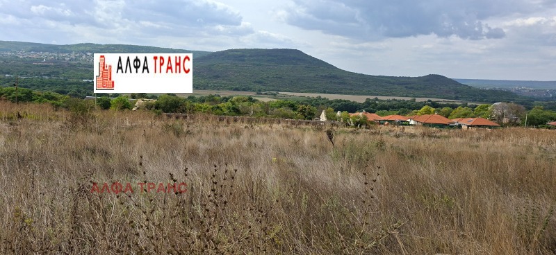 Продава ПАРЦЕЛ, с. Оброчище, област Добрич, снимка 9 - Парцели - 53223878