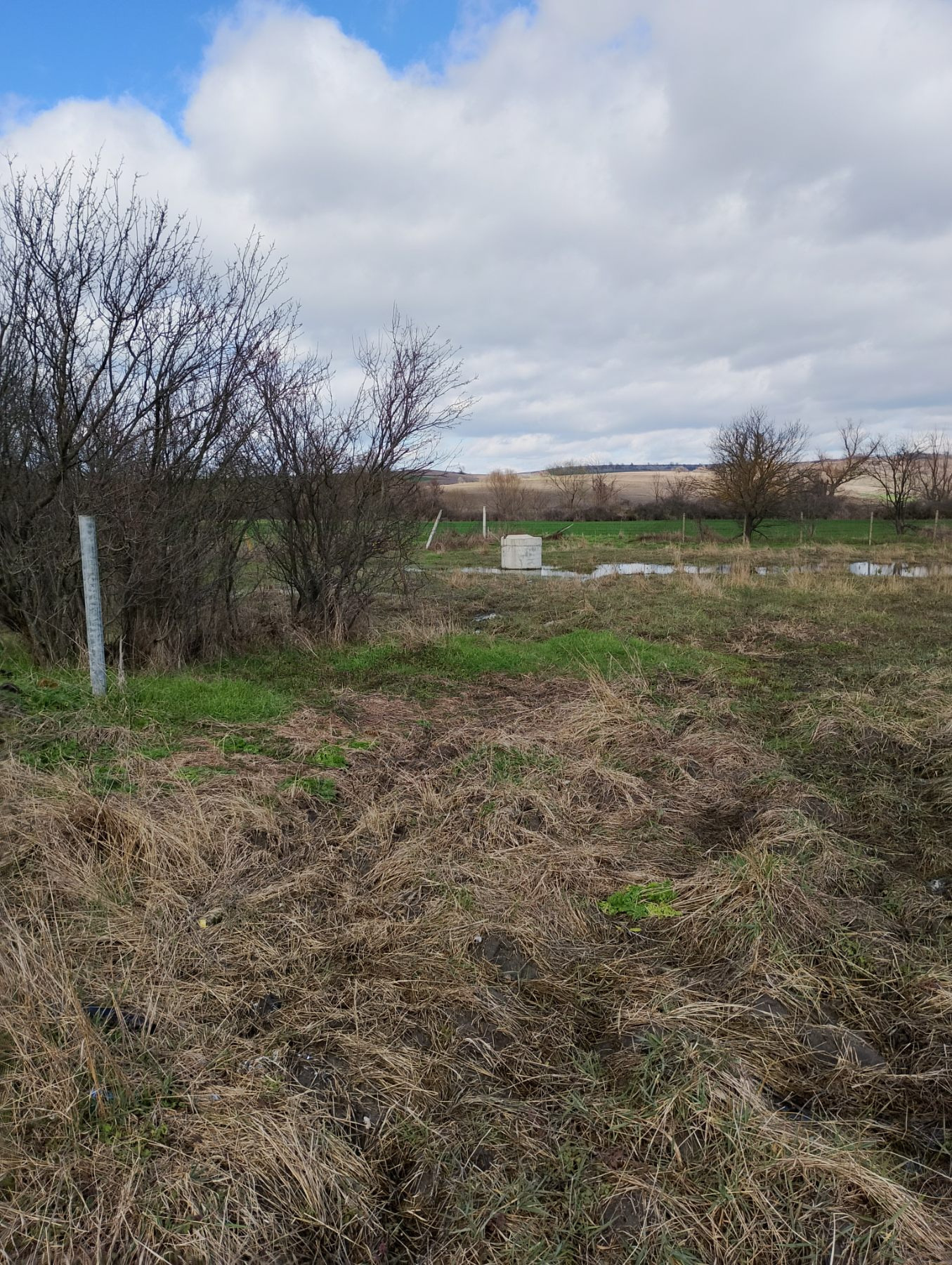 Продава КЪЩА, с. Синапово, област Хасково, снимка 3 - Къщи - 54780511
