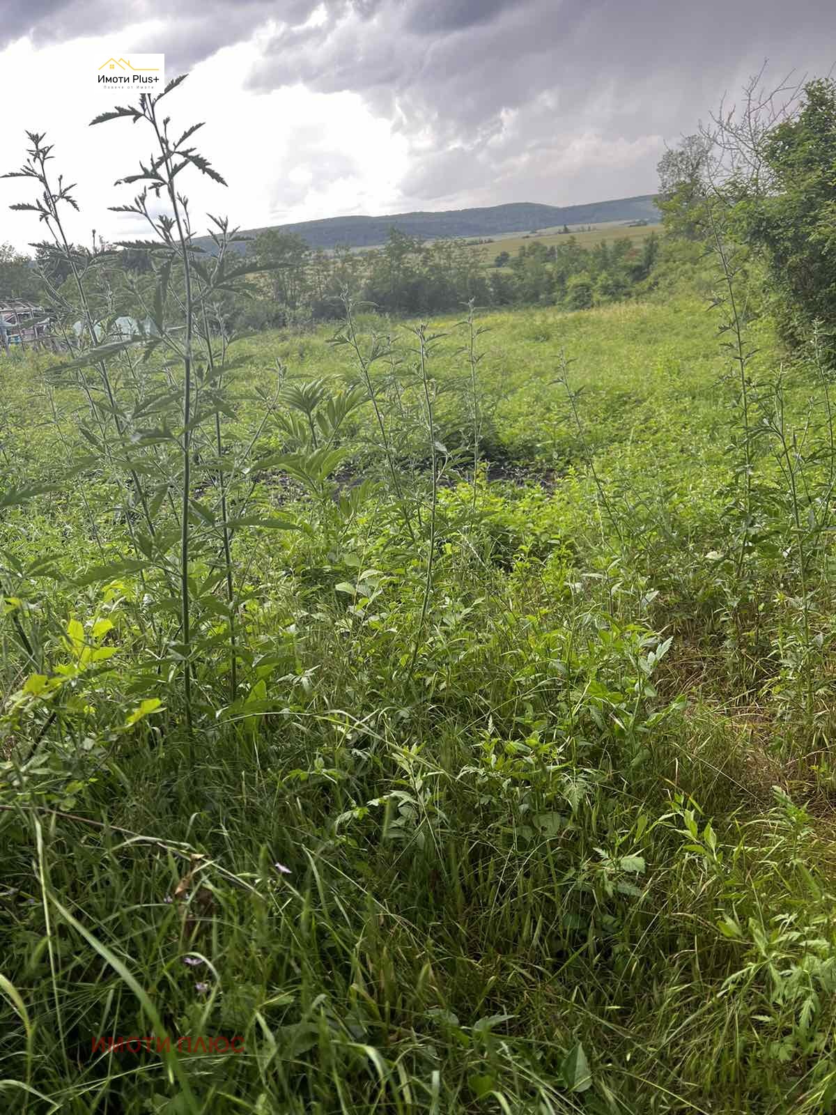 Продава ПАРЦЕЛ, с. Кюлевча, област Шумен, снимка 2 - Парцели - 50138995