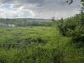 Продава ПАРЦЕЛ, област Шумен, с. Кюлевча • 50000 лв. • 74332217 — Holmes.bg