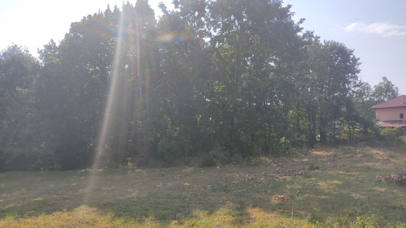 Продава КЪЩА, с. Драшан, област Враца, снимка 4 - Къщи - 52477035