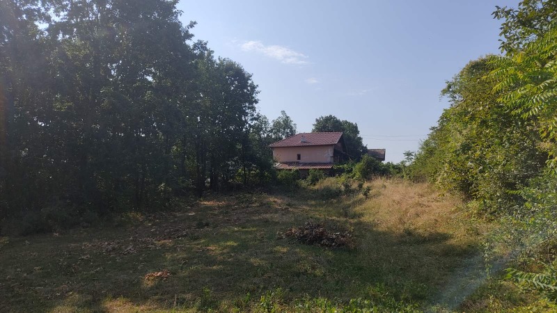 Продава КЪЩА, с. Драшан, област Враца, снимка 3 - Къщи - 52477035