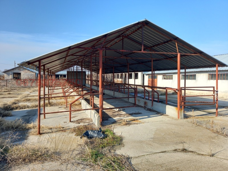 Продава ПРОМ. ПОМЕЩЕНИЕ, с. Каснаково, област Хасково, снимка 6 - Производствени сгради - 52779614