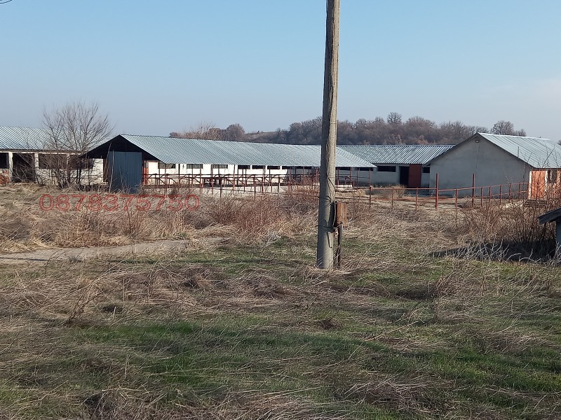 Продава ПРОМ. ПОМЕЩЕНИЕ, с. Каснаково, област Хасково, снимка 5 - Производствени сгради - 52779614