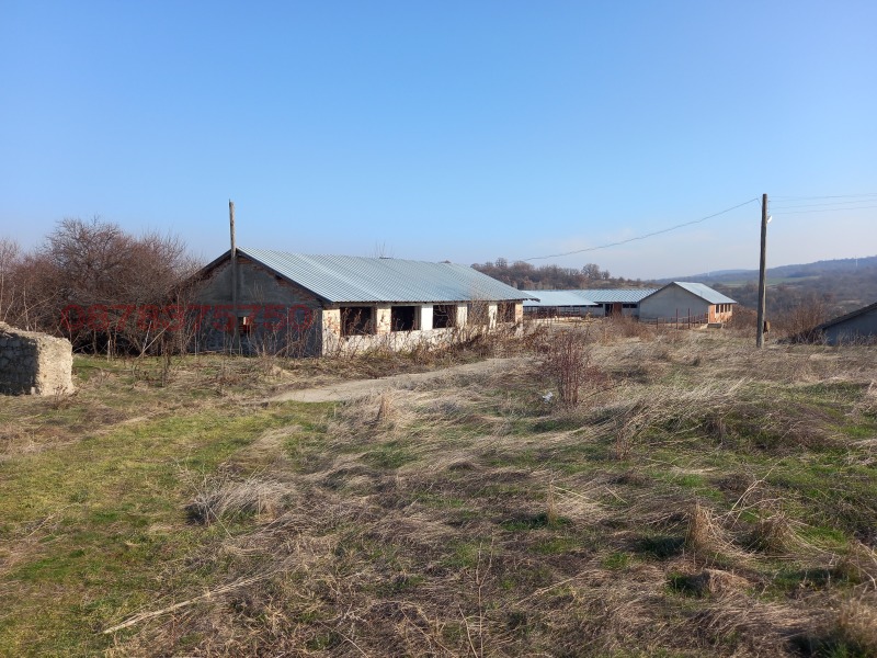 Продава ПРОМ. ПОМЕЩЕНИЕ, с. Каснаково, област Хасково, снимка 10 - Производствени сгради - 52779614