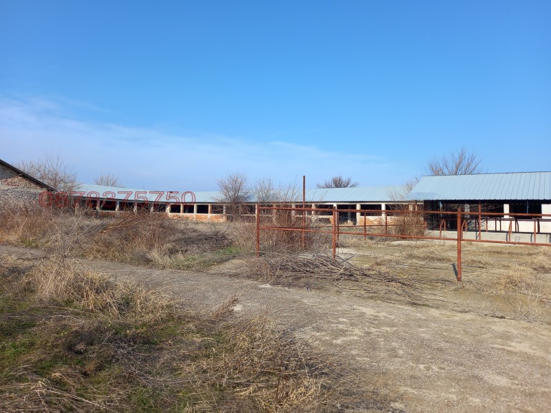 Продава ПРОМ. ПОМЕЩЕНИЕ, с. Каснаково, област Хасково, снимка 9 - Производствени сгради - 52779614