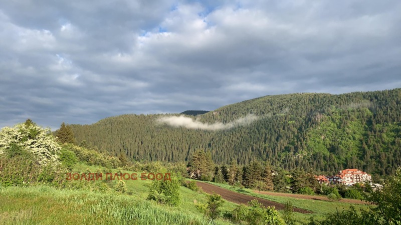 Продава ПАРЦЕЛ, к.к. Боровец, област София област, снимка 14 - Парцели - 52771267