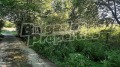 Продава ПАРЦЕЛ, гр. Априлци, област Ловеч, снимка 2