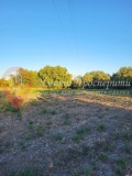 Продава ПАРЦЕЛ, с. Бошуля, област Пазарджик, снимка 3