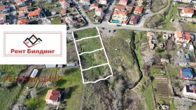 ����� ������� ������,���� ������, ������