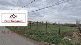 ����� ������� ������,���� ������, ������