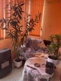 Продава 2-СТАЕН, град Плевен, Дружба 3 • 73000 € • 23802544 — Holmes.bg