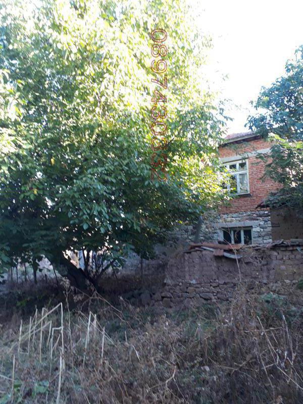 Продава КЪЩА, с. Белица, област Хасково, снимка 5 - Къщи - 53975872