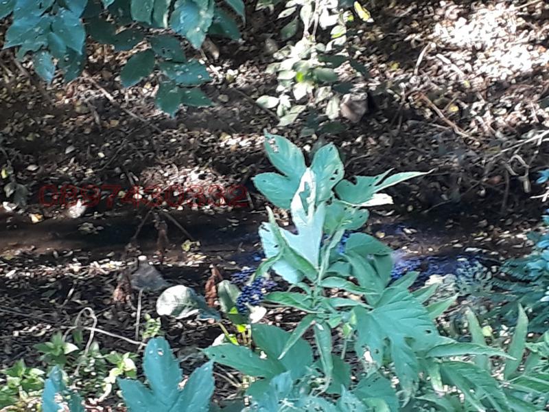 Продава КЪЩА, с. Белица, област Хасково, снимка 7 - Къщи - 53975872