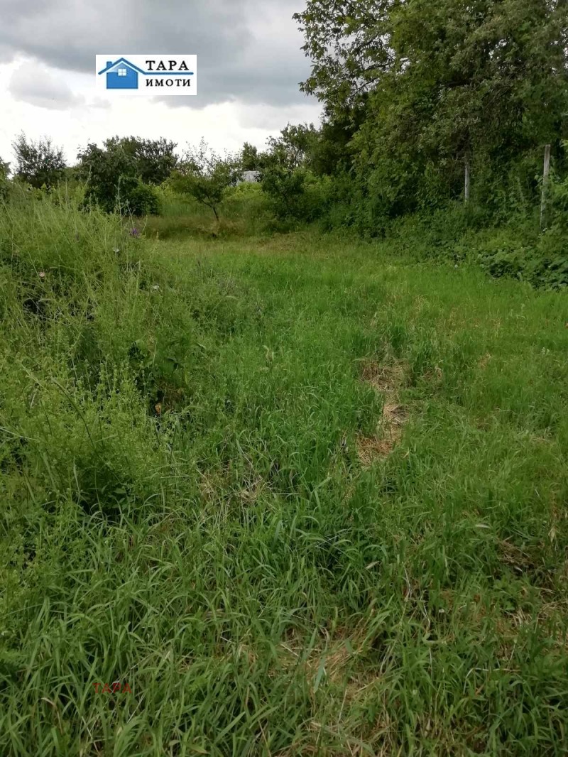 Продава КЪЩА, с. Белотинци, област Монтана, снимка 14 - Къщи - 52813931