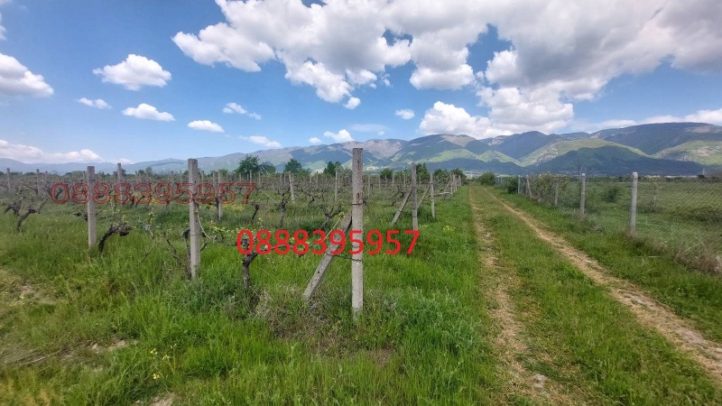 Продава ЗЕМЕДЕЛСКА ЗЕМЯ, гр. Сопот, област Пловдив, снимка 8 - Земеделска земя - 52501992