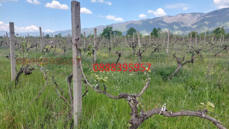 Продава ЗЕМЕДЕЛСКА ЗЕМЯ, гр. Сопот, област Пловдив, снимка 7 - Земеделска земя - 52501992