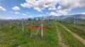 Продава ЗЕМЕДЕЛСКА ЗЕМЯ, гр. Сопот, област Пловдив, снимка 9