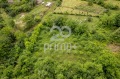Продава ПАРЦЕЛ, с. Драгижево, област Велико Търново, снимка 3