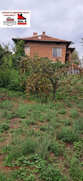 House Dolna Grashtitsa, region Kyustendil 8