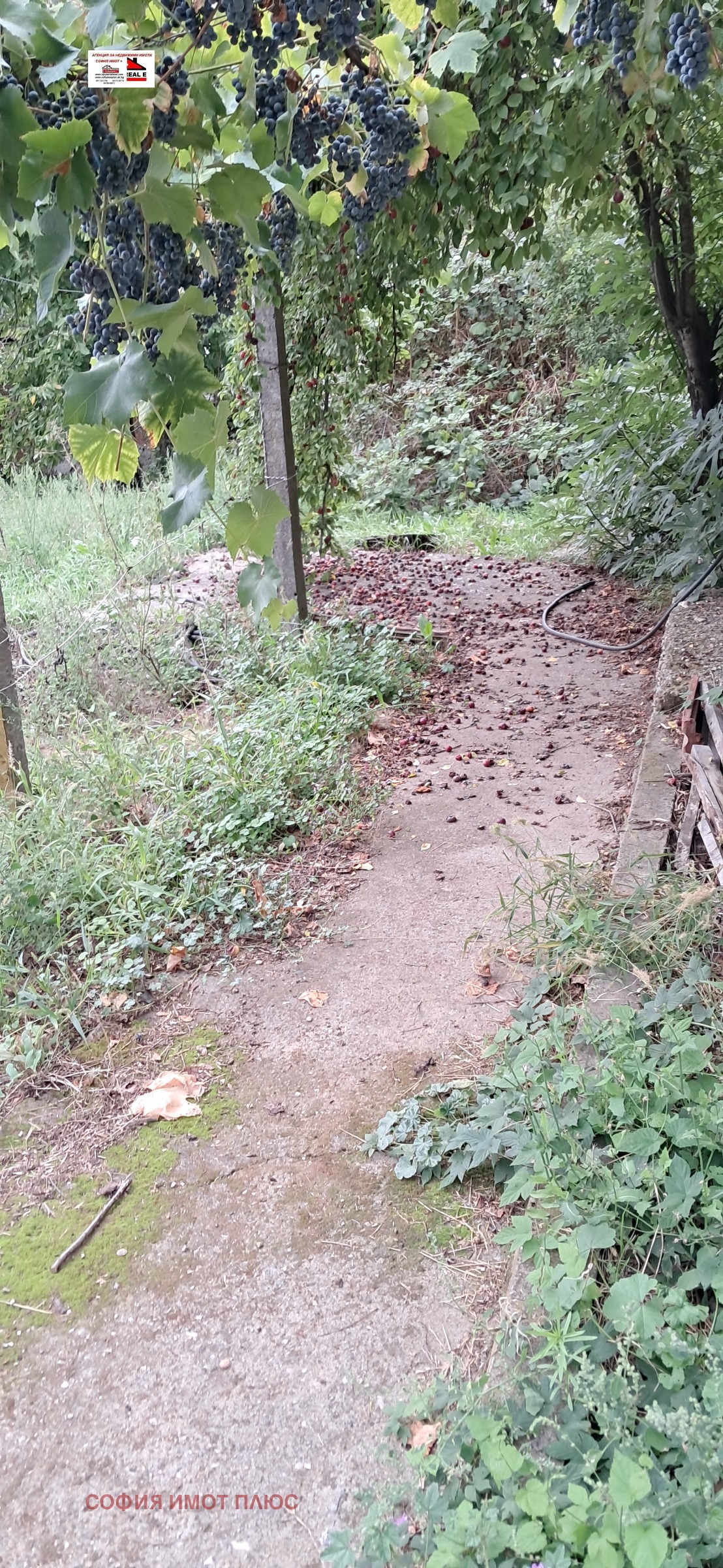 Продава КЪЩА, с. Долна Гращица, област Кюстендил, снимка 2 - Къщи - 53767970