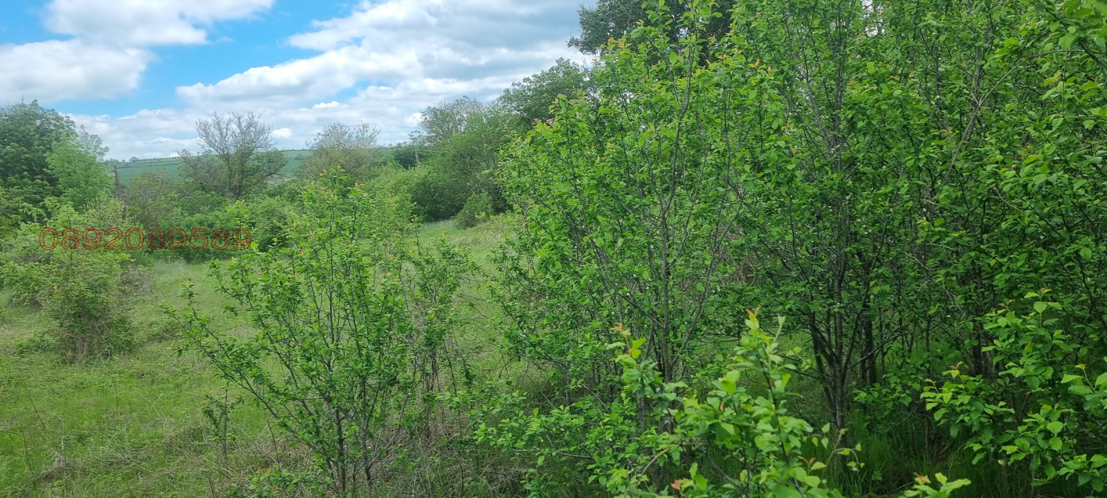 ������� ���� | Imot.bg � ����������� 9